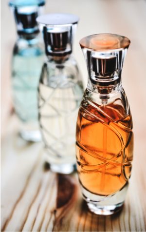 The Fragrance Society | What it is and How it Works