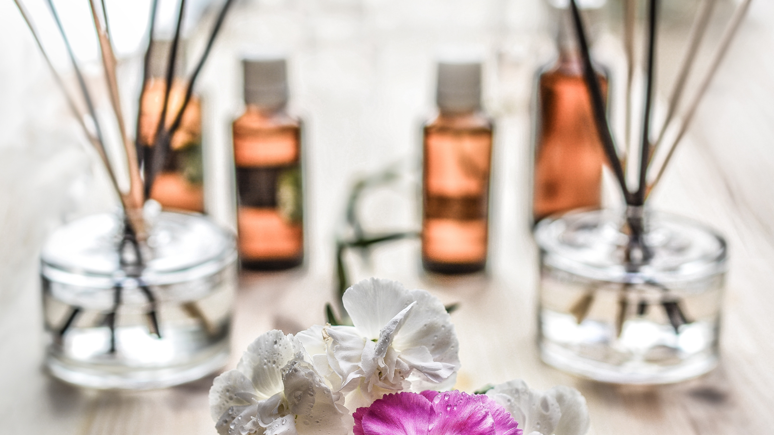 Fragrance society clearance
